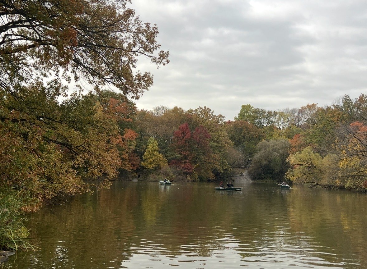 The trees turn into their warm colors in Central Park, New York, signaling the arrival of autumn.