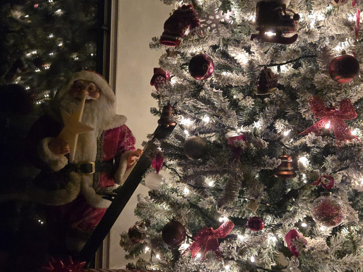 A jolly ride and a jolly perspective; giving meaning to Christmas as my tree lights up my living room. 