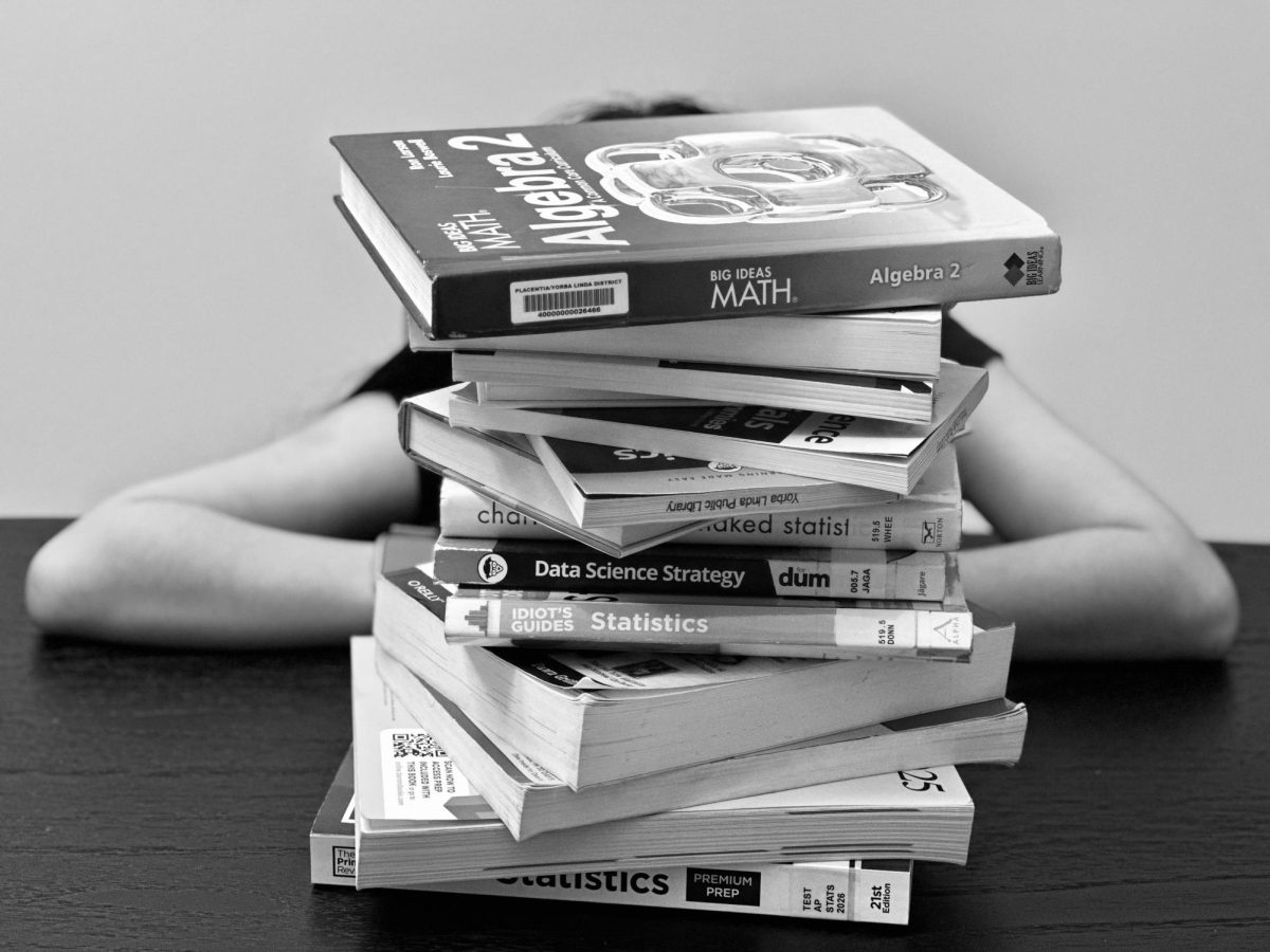 Students are often exhausted and overwhelmed with their studies and homework, constantly striving to achieve perfection.