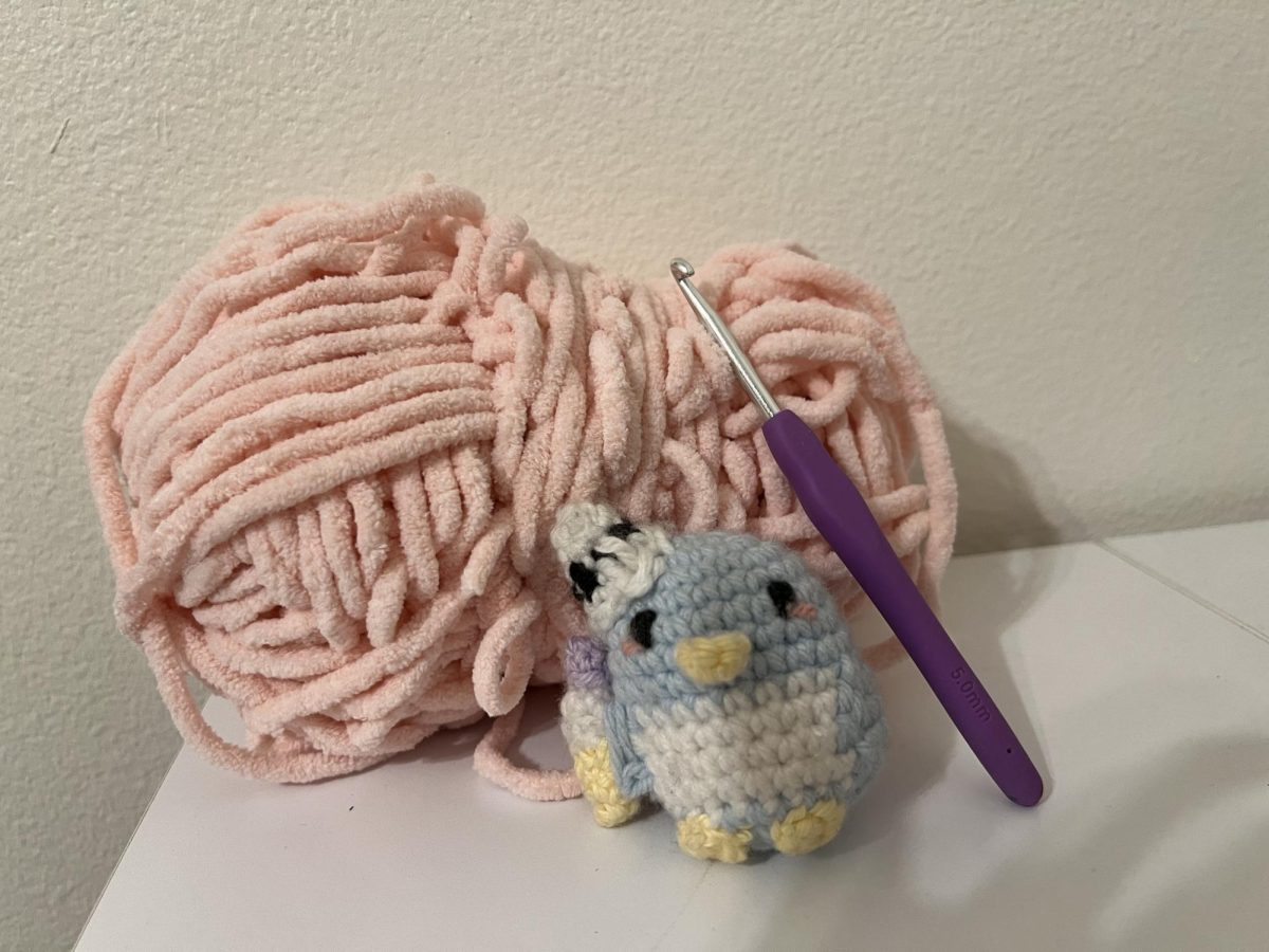 This image shows an example of what can be created out of a simple piece of yarn and a hook. 