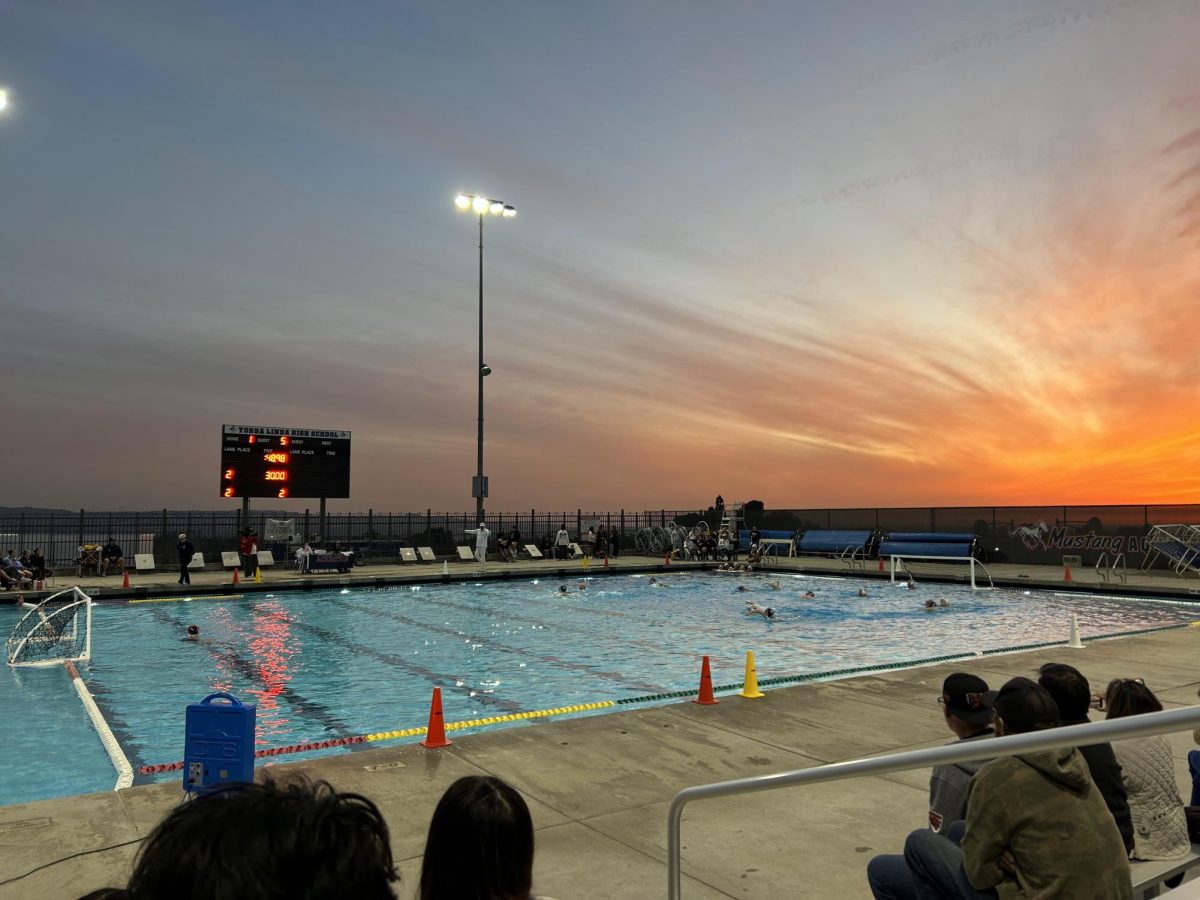 The YLHS Mustangs face Canyon in an intense water polo game. 