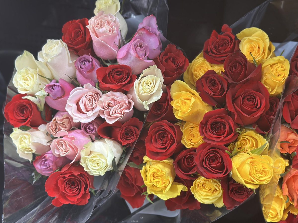 Roses, the flower of June, have different meanings depending on the color of their petals.
