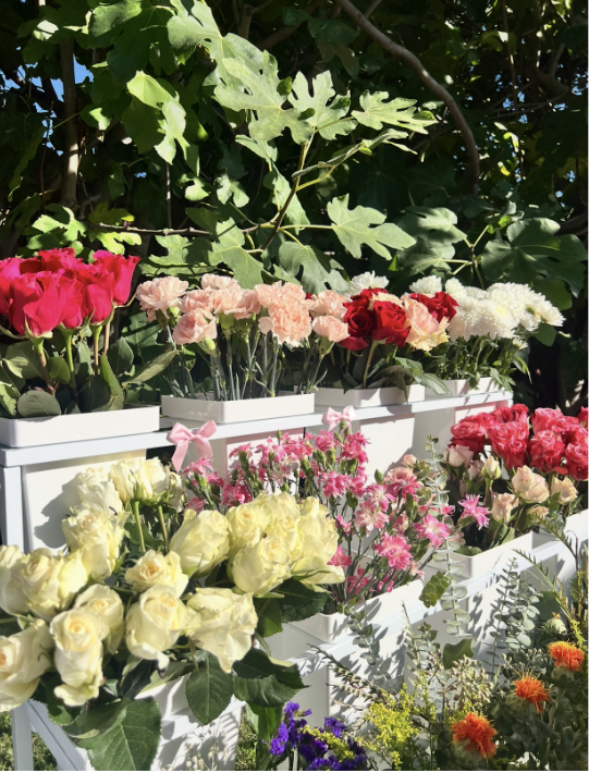 Flowers are in full bloom about a month in Spring, a few days after Earth Day. 