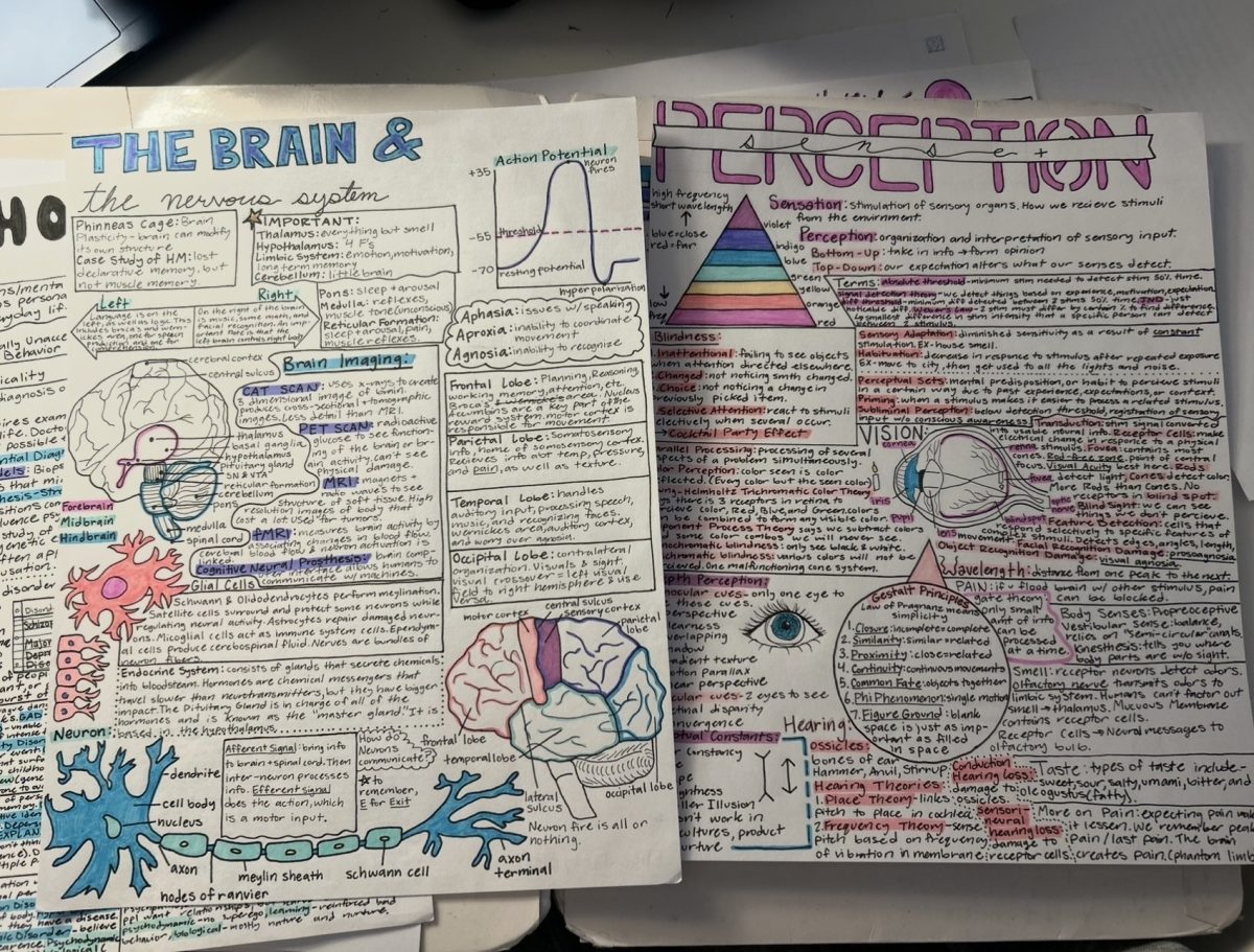 Creating one-pagers is a great way to study for the AP exams. 