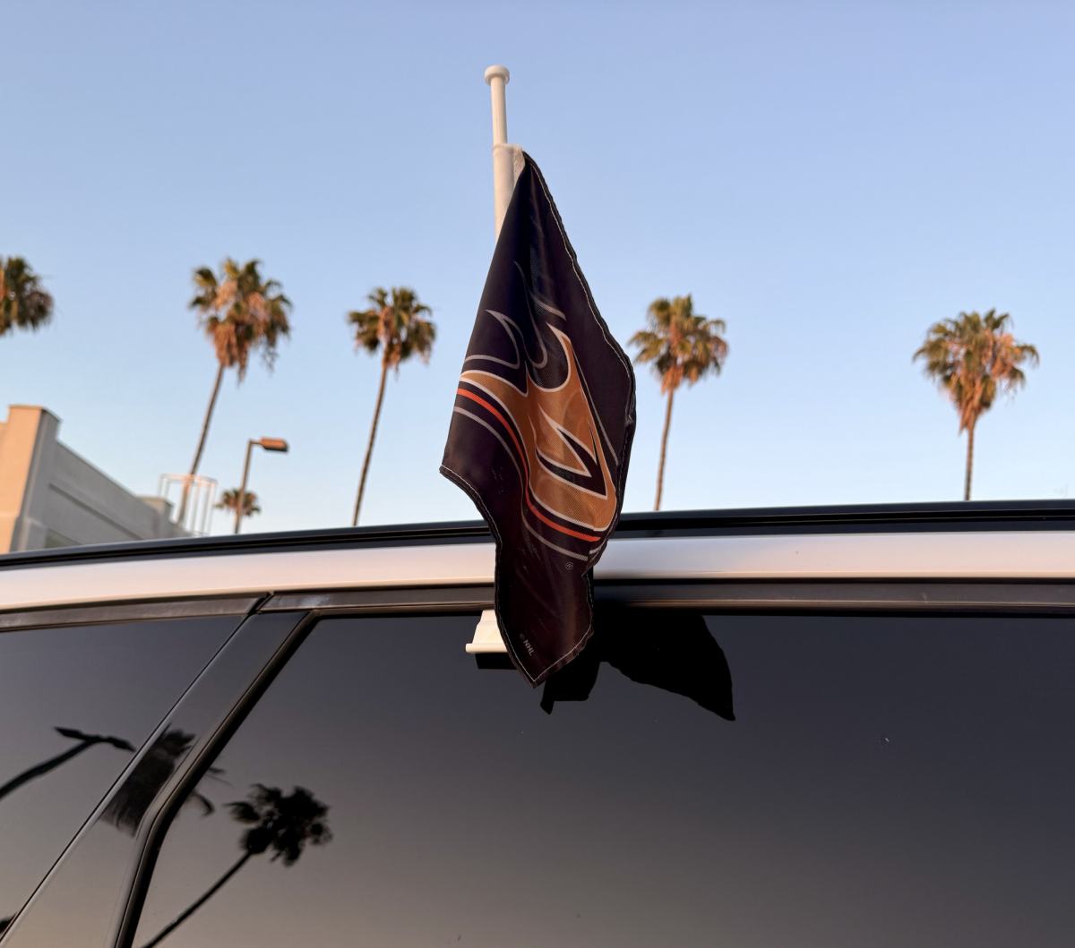 Uniting Orange County: The Reemergence of the Anaheim Ducks