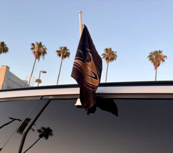 Many cars have been seen with Ducks flags on its windows.