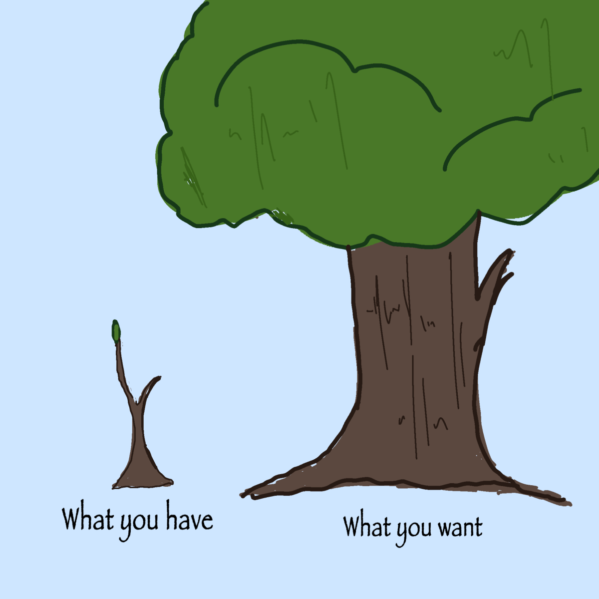As we constantly search for what is next, we often overlook and undervalue what we already have.
