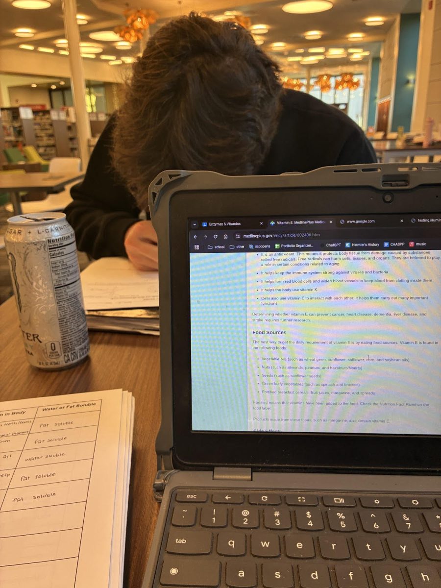 Studying with a friend is a great way to stay on top of academics while staying connected. 